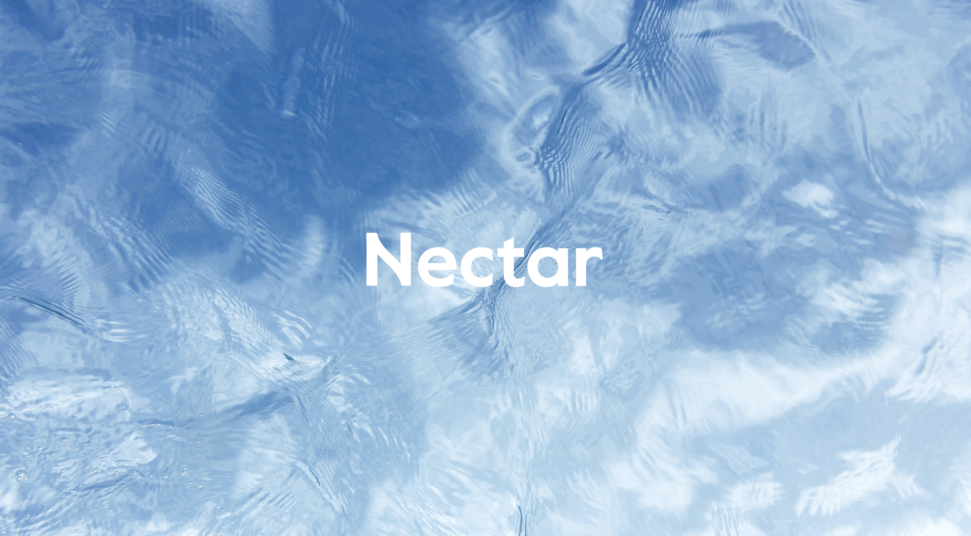 Nectar Primary Logo